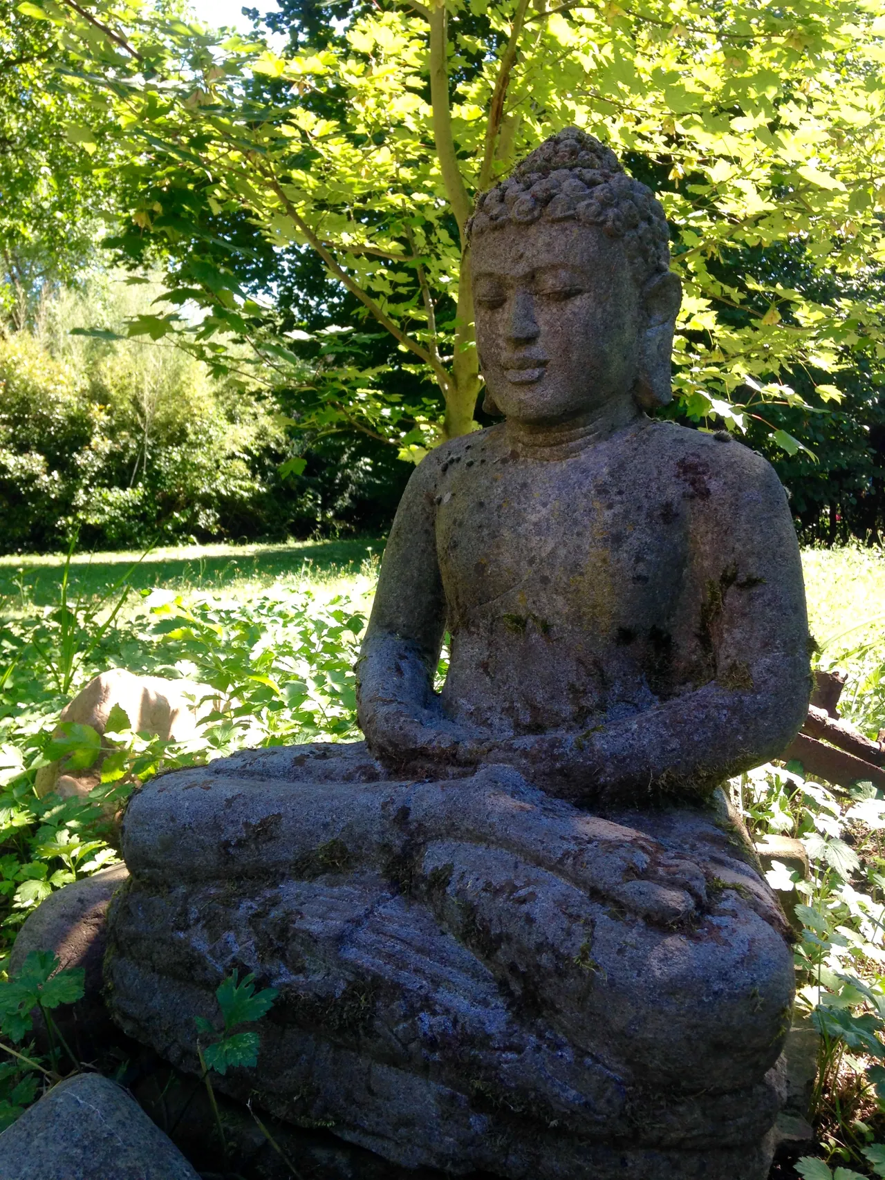 Verwitterte Buddha-Statue in einem grünen Garten.